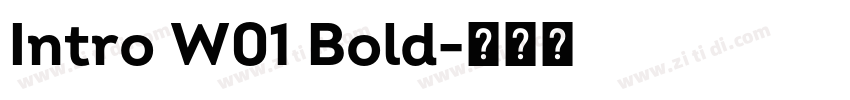 Intro W01 Bold字体转换